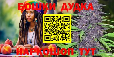 apvp Кандалакша