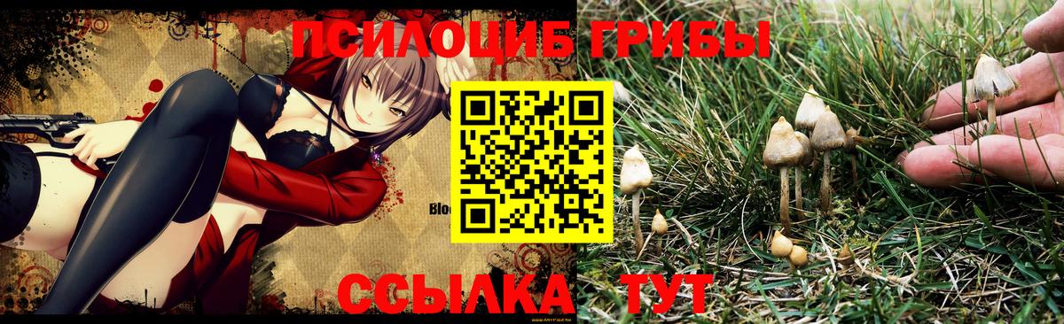 Псилоцибиновые грибы MAGIC MUSHROOMS Черногорск