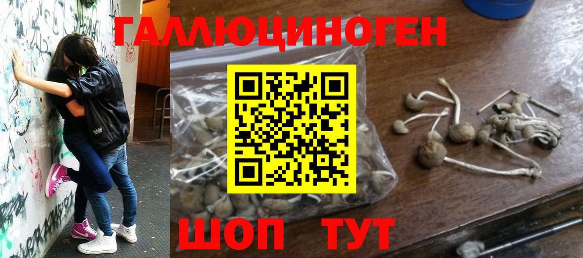 Галлюциногенные грибы мухоморы  Галлюциногенные грибы Magic Shrooms  Черногорск  Вход с VPN 