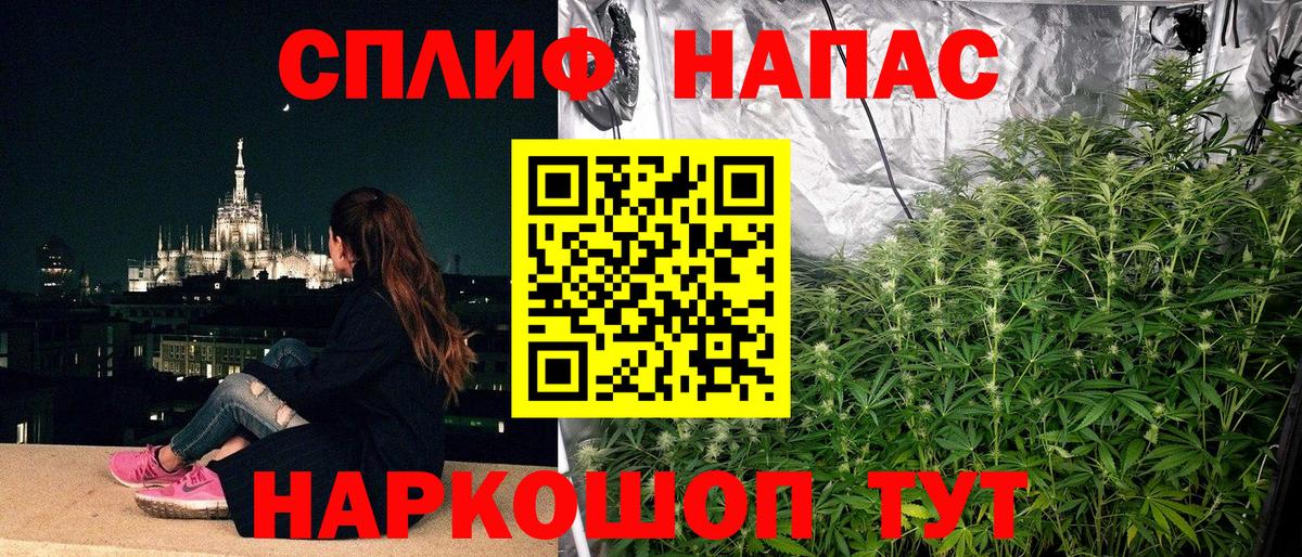 Бошки марихуана конопля Черногорск